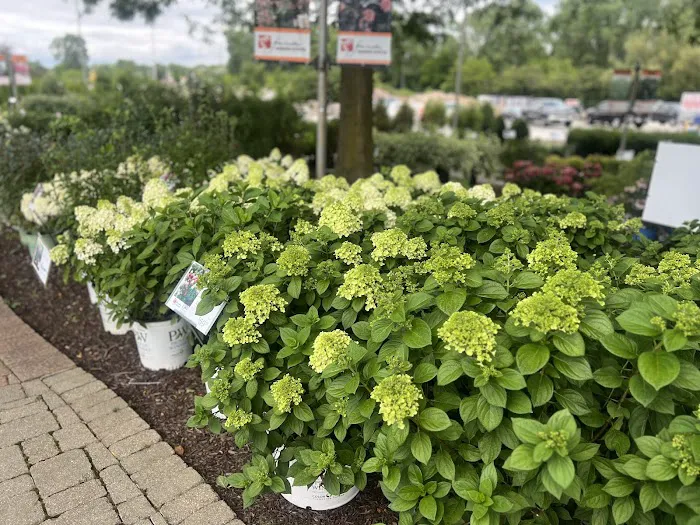 Jim Melka Landscaping & Garden Center Picture 3