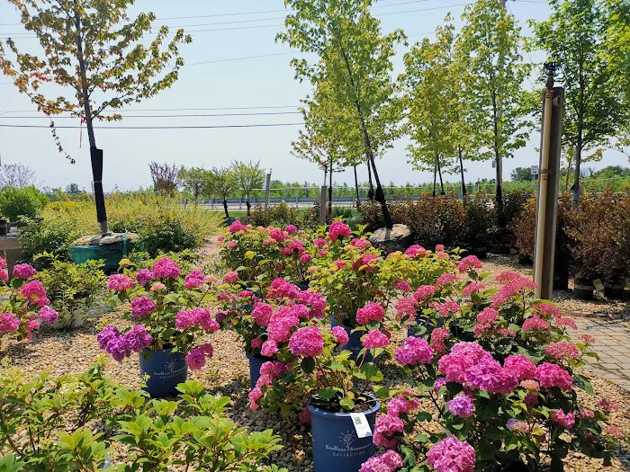 Ida's Garden Paradise / Dahl Landscape Company Picture 5