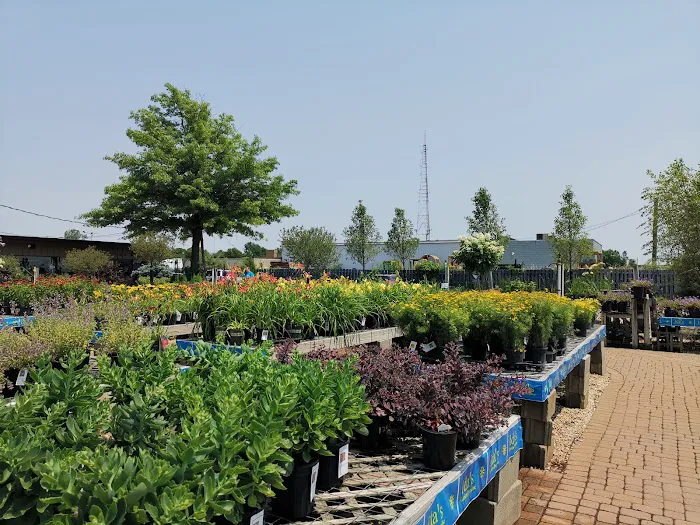 Ida's Garden Paradise / Dahl Landscape Company Picture 10