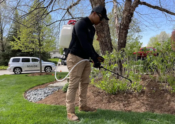 goMULCH LLC. Landscaping Picture 2