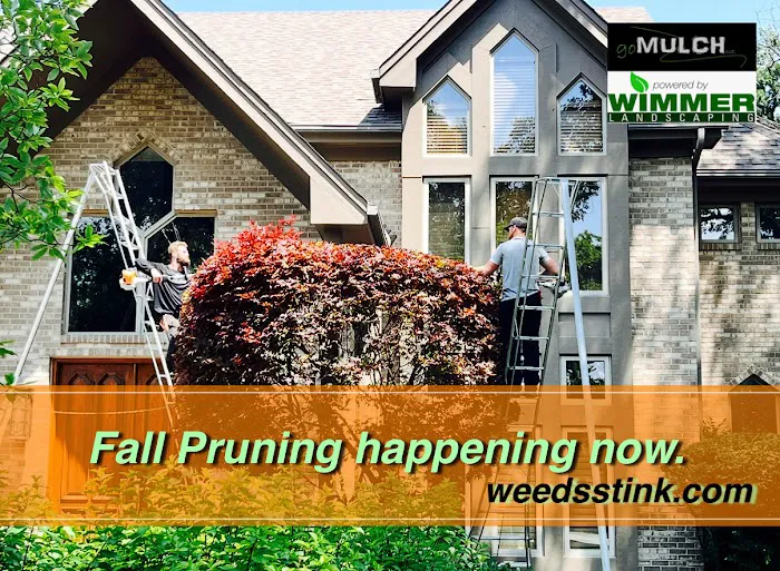 goMULCH LLC. Landscaping Picture 1