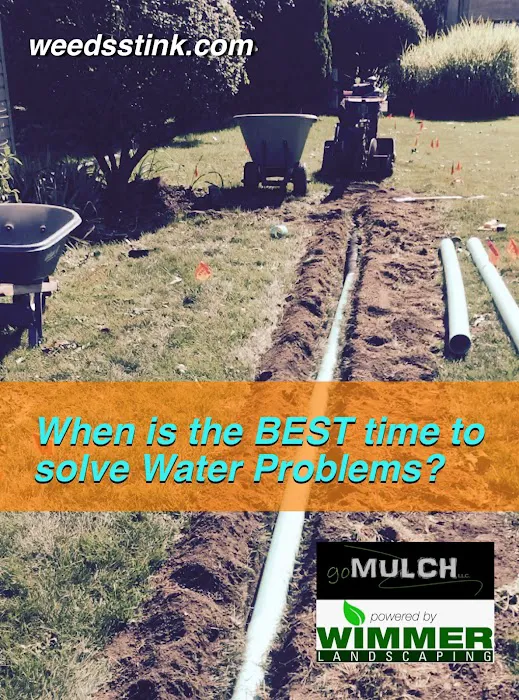 goMULCH LLC. Landscaping Picture 4