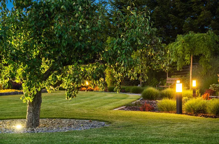 Bright Landscape Lighting Experts Picture 2