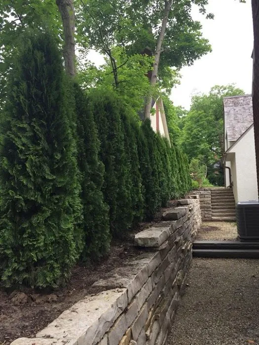 Leo Orlando Landscaping Picture 8