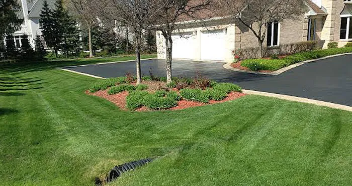 Rene & Sons Landscaping Inc. Picture 4