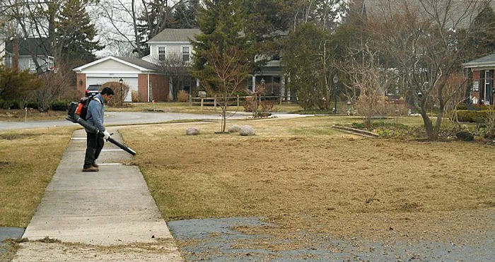 Rene & Sons Landscaping Inc. Picture 5
