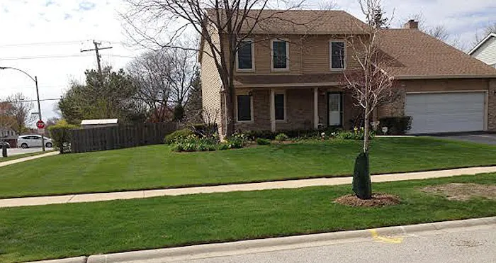 Rene & Sons Landscaping Inc. Picture 3