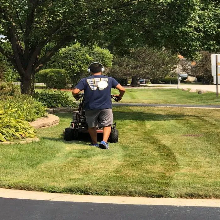 Rene & Sons Landscaping Inc. Picture 9