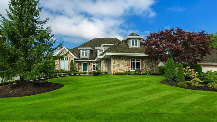 Rene & Sons Landscaping Inc. Picture 8
