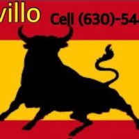 Novillo Lawnmaintenance CO. ico