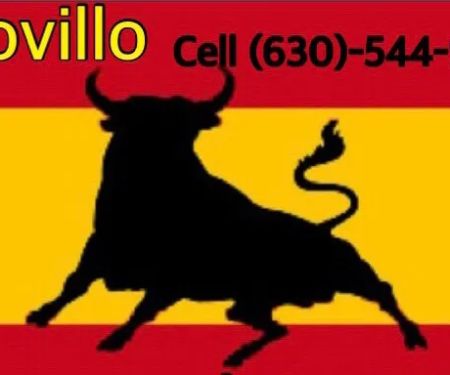 Novillo Lawnmaintenance CO.