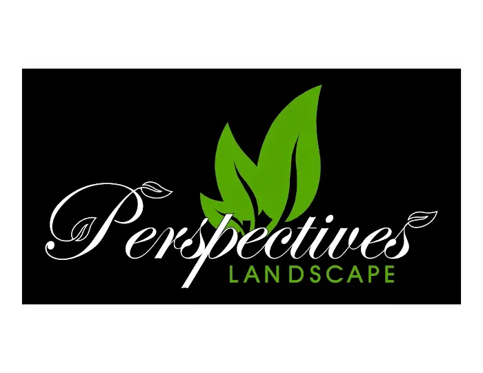 Perspectives Landscape Picture 1