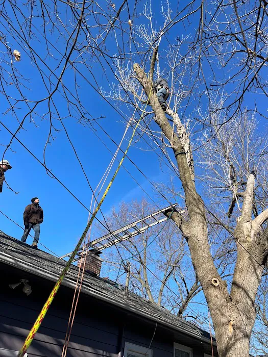 Gerardo's Landscaping & Snow Removal LLC Picture 9
