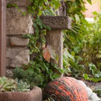 Craig Bergmann Landscape Design ico