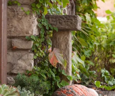 Craig Bergmann Landscape Design