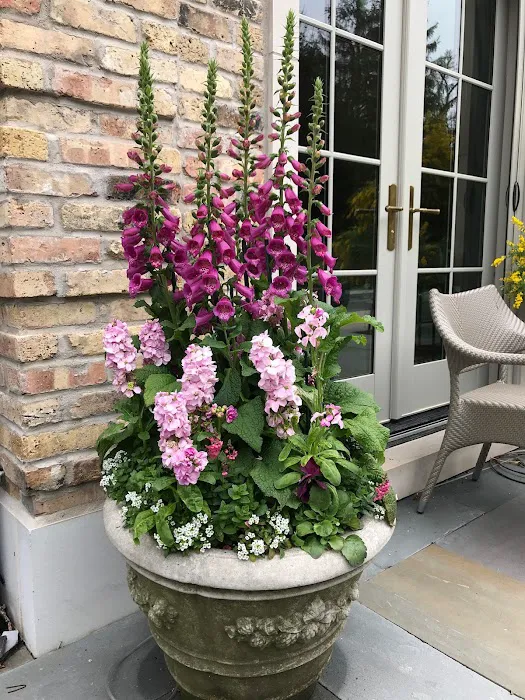Craig Bergmann Landscape Design Picture 9
