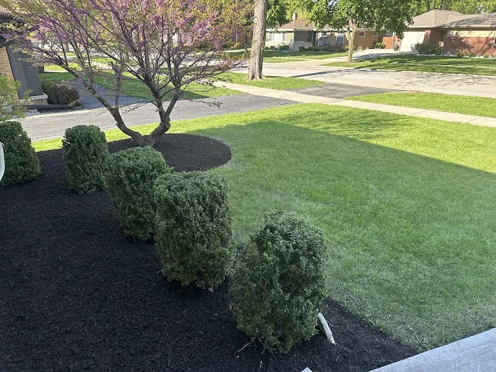 Lotus Landscaping & Design Picture 5