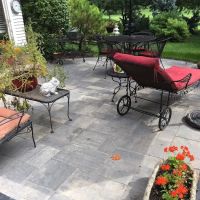 DLS LANDSCAPING, INC. ico