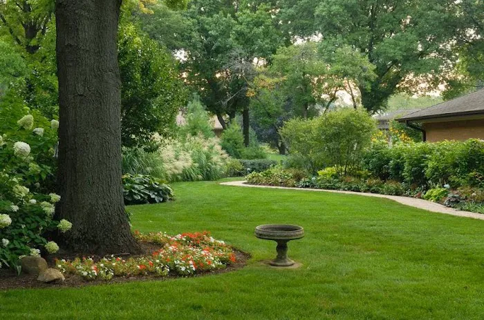 Rooney Landscape Inc Picture 6