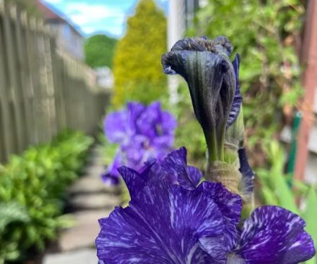 A-Z Landscaping
