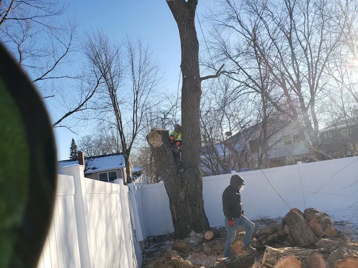 Vega’s Landscaping Inc Picture 3