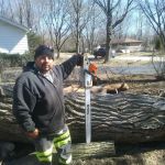 VHP Tree Service & Landscaping