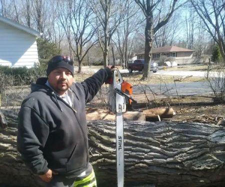 VHP Tree Service & Landscaping