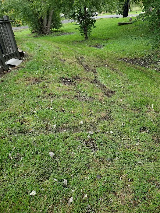 Marco Hernandez Landscaping Picture 1