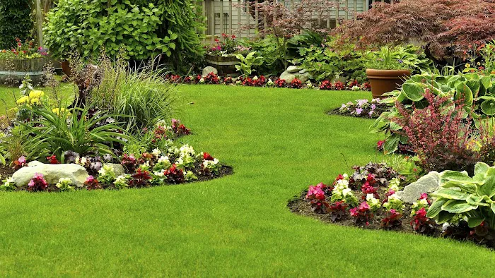 Marco Hernandez Landscaping Picture 7