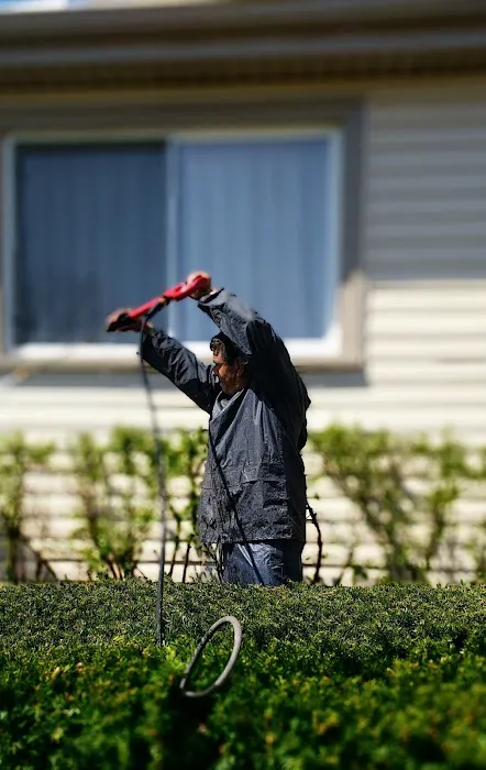 Marco Hernandez Landscaping Picture 4