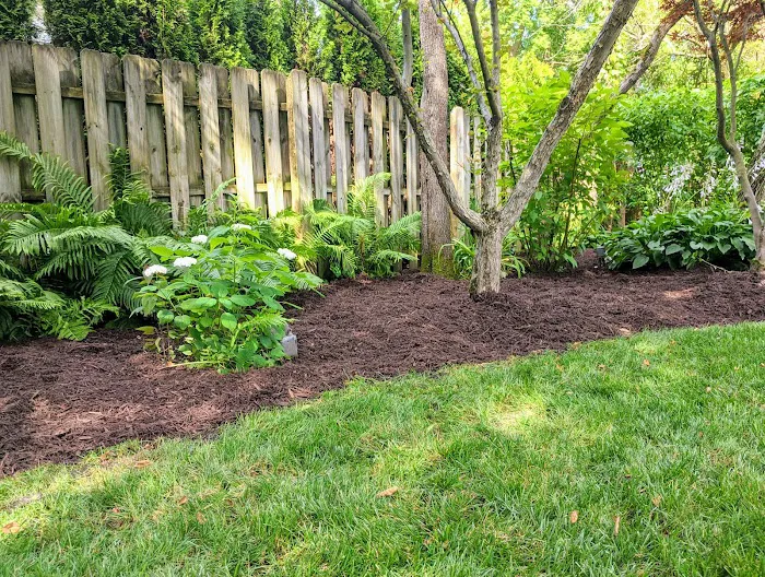 Marco Hernandez Landscaping Picture 8