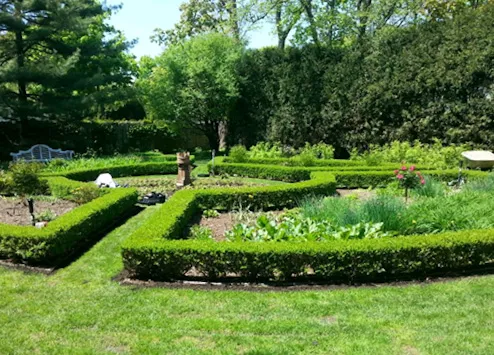Marco Hernandez Landscaping Picture 3