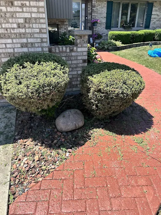 JJ Landscaping Picture 4