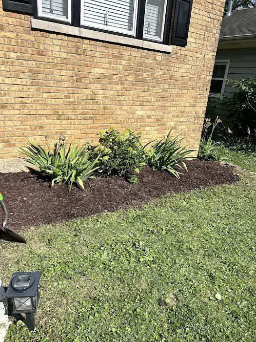 JJ Landscaping Picture 8