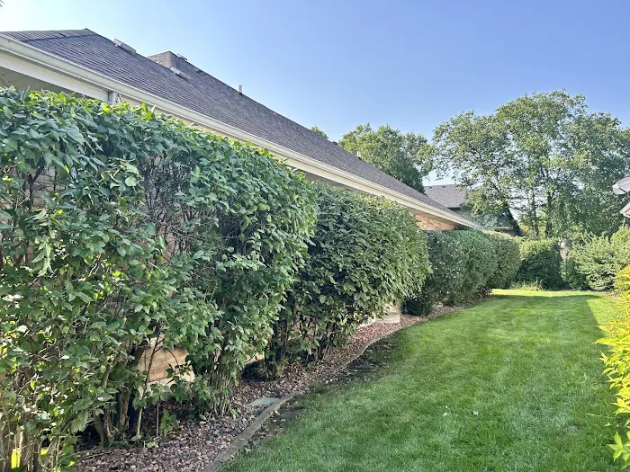JJ Landscaping Picture 5