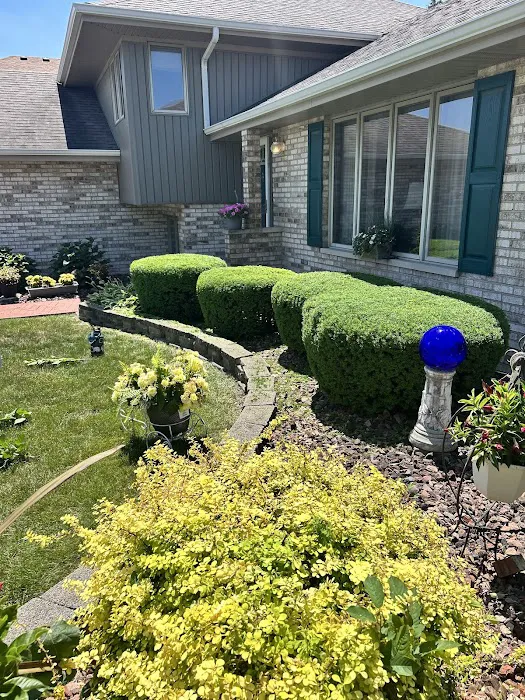 JJ Landscaping Picture 3