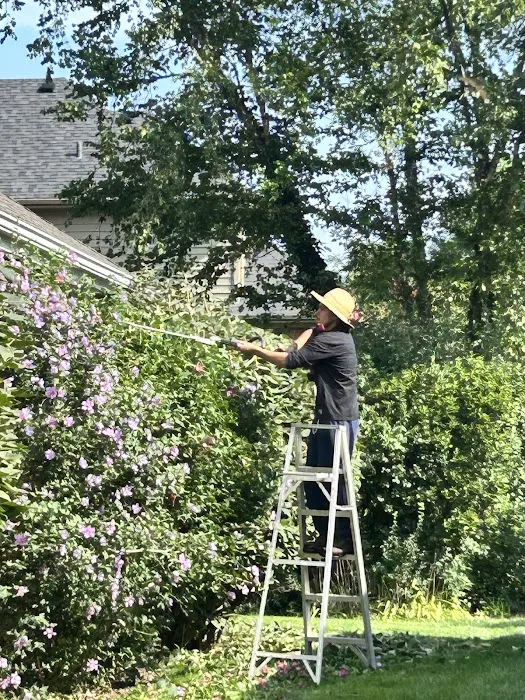 JJ Landscaping Picture 7