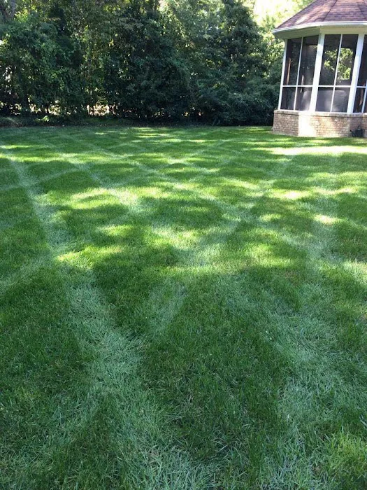 C & T Lawn & Landscape Picture 4
