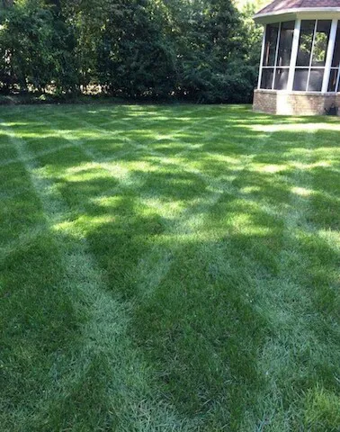 C & T Lawn & Landscape Picture 9