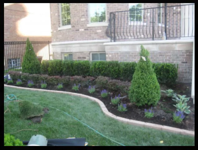 Alvarez Landscape & Lawn Maintenance Picture 2