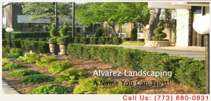 Alvarez Landscape & Lawn Maintenance Picture 4