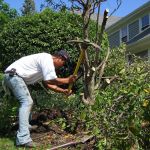 Joel Ramirez Landscaping - Pavers & Concrete