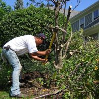 Joel Ramirez Landscaping - Pavers & Concrete ico