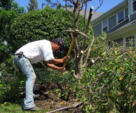 Joel Ramirez Landscaping - Pavers & Concrete