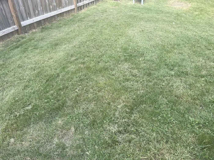 Greenworldinc Picture 4