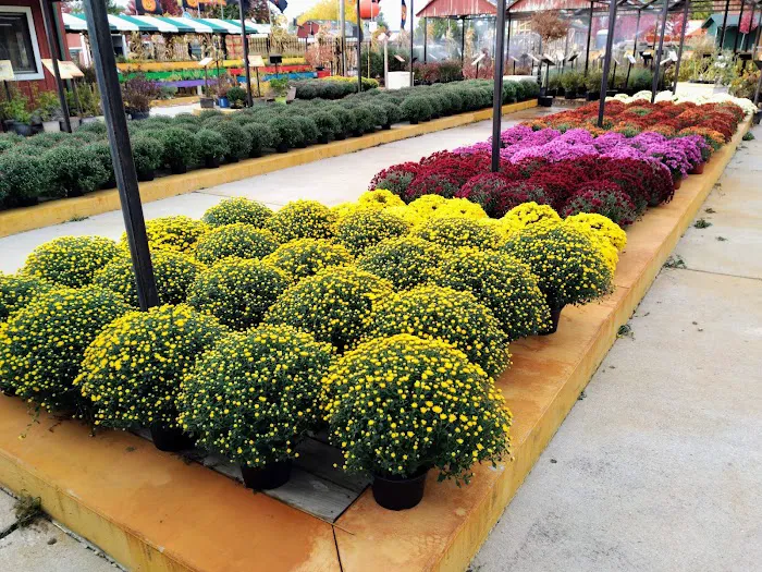 Tim Wallace Landscape Supply Picture 9