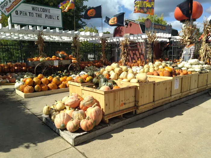 Tim Wallace Landscape Supply Picture 7