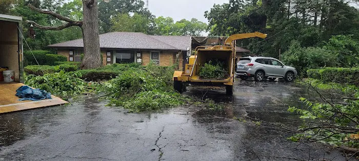 J&J LANDSCAPING GREEN INC Picture 4