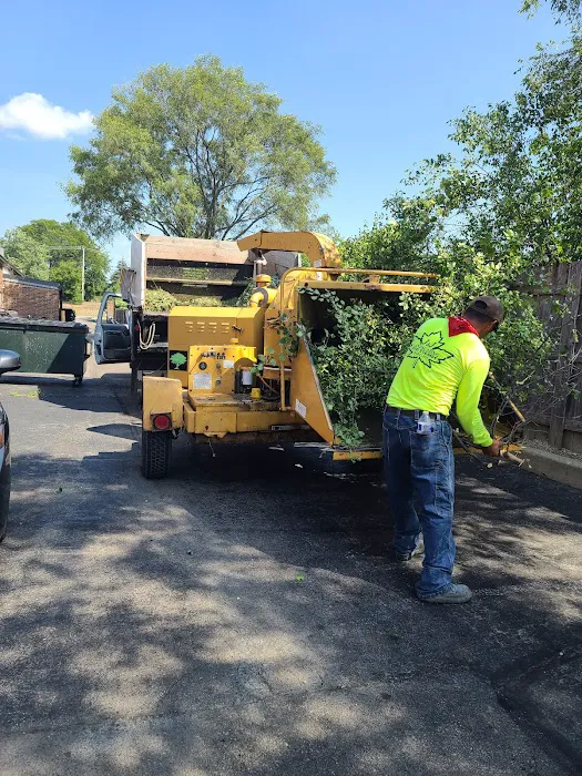 J&J LANDSCAPING GREEN INC Picture 3