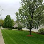 West Chicago Landscaping